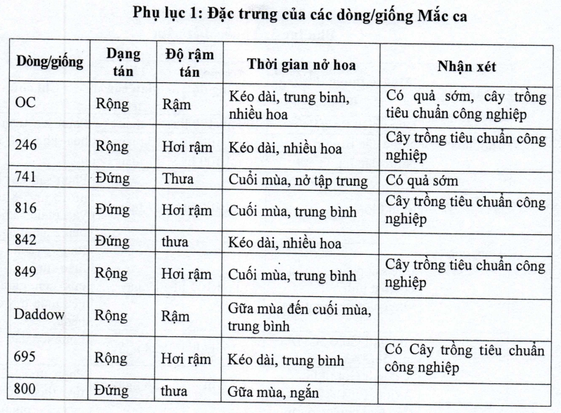 đặc trưng các giống mắc ca_1654050105.png